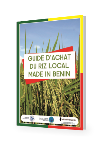 Guide d'achat du riz local